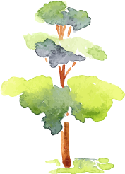 aquarelle arbre