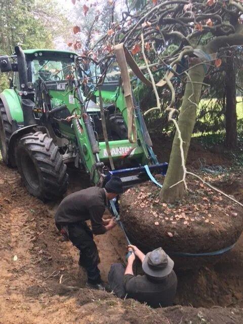travaux